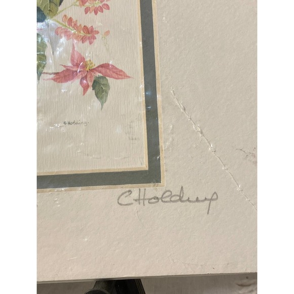 Signed Watercolor Print “Bermuda Poinsettia and Coralita” by Carole Holding - Picture 12 of 12